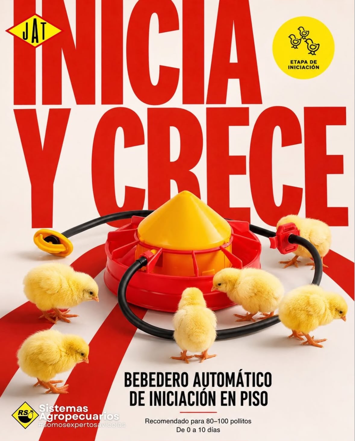 Bebedero Automático
