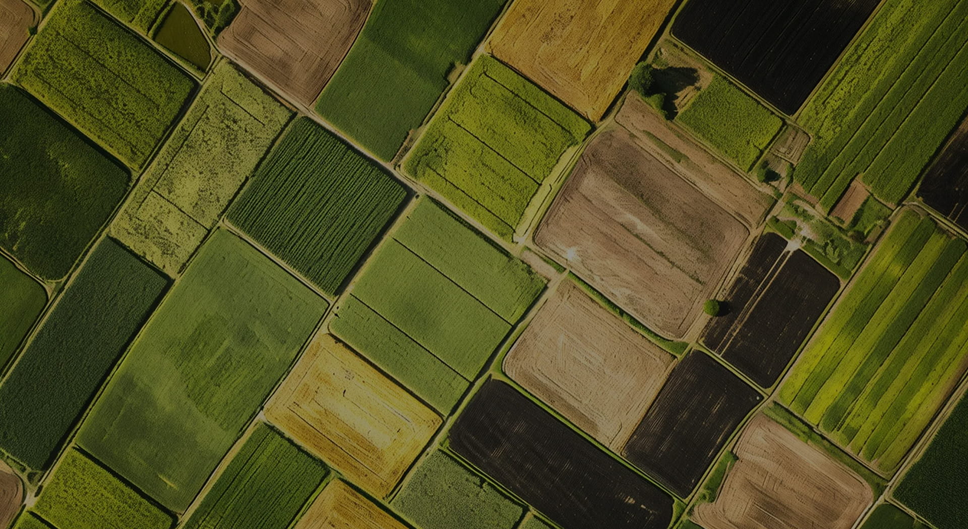 Modern Farming