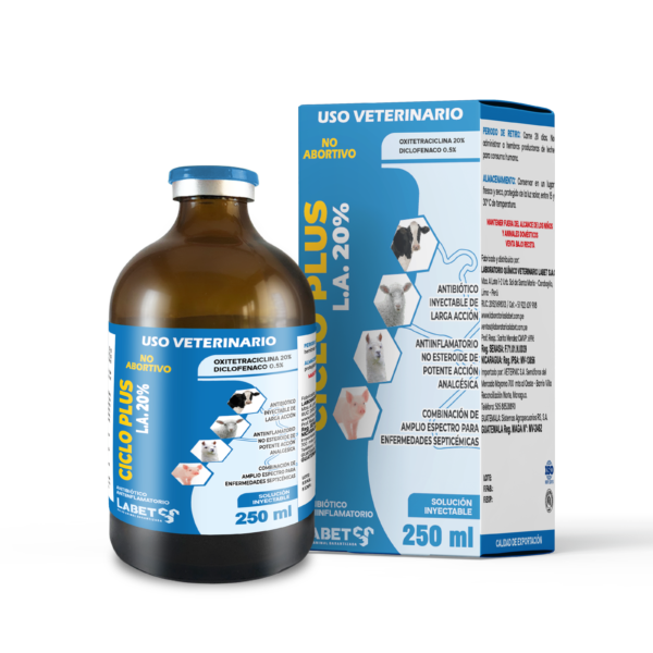 CICLO PLUS L.A. 20%