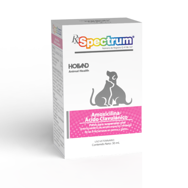 Rx Spectrum Amoxicilina-Ácido Clavulánico Suspensión