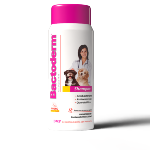 Bactoderm – Shampoo