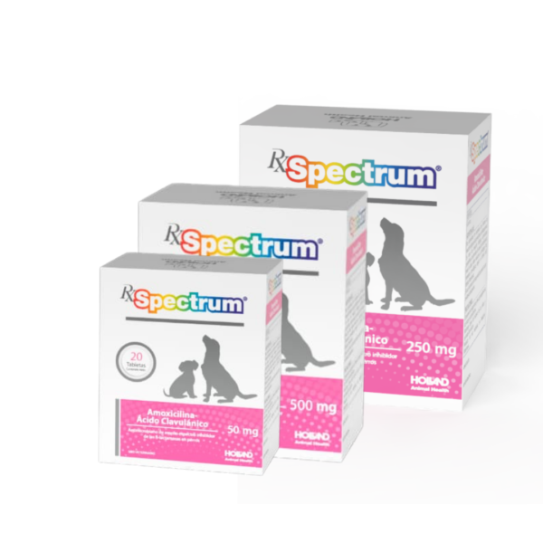 Rx Spectrum Amoxicilina-Ácido Clavulánico Tabletas