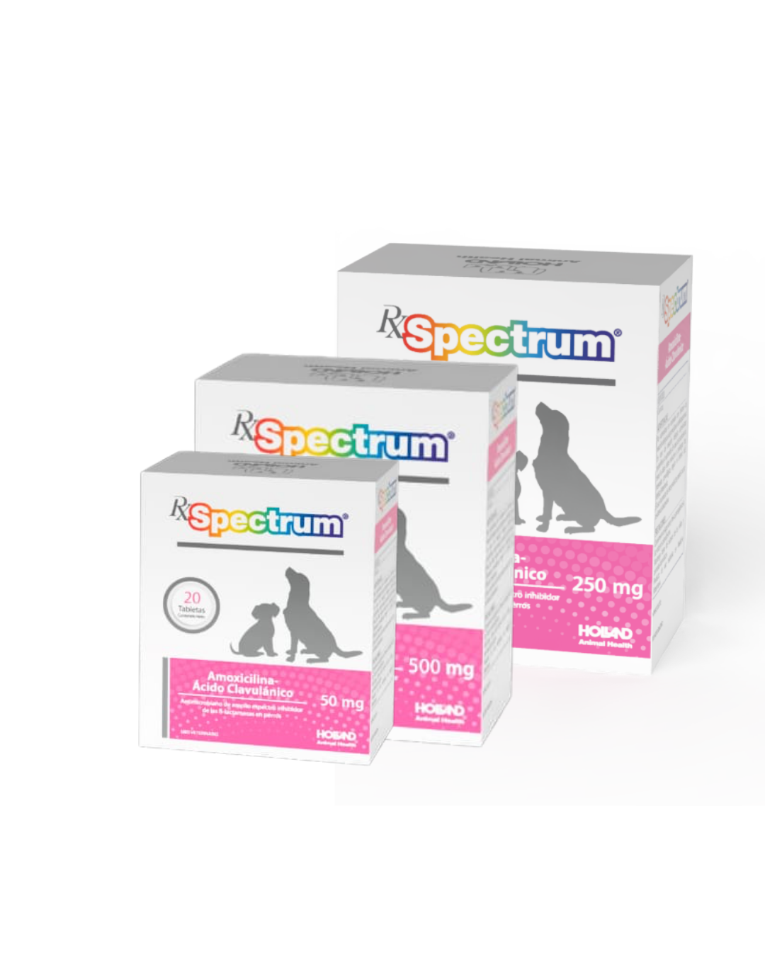 Rx Spectrum Amoxicilina-Ácido Clavulánico Tabletas