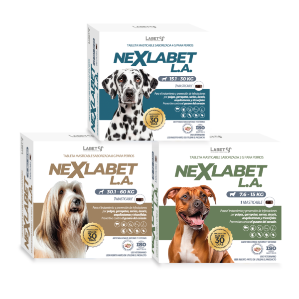 NEXLABET L.A.