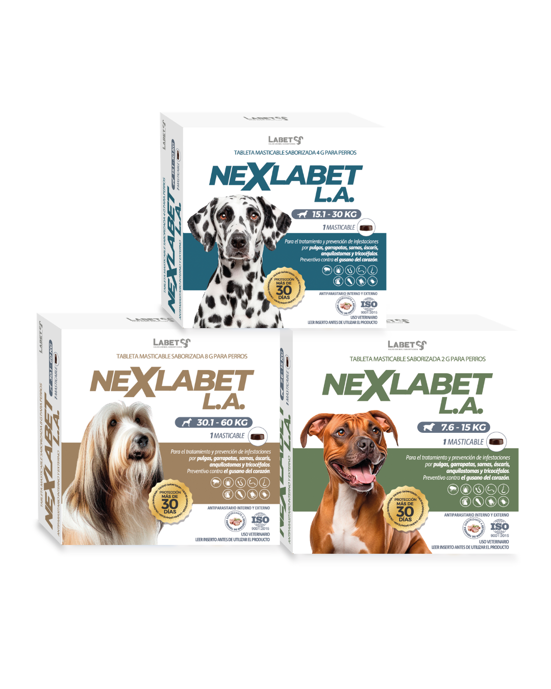 NEXLABET L.A.