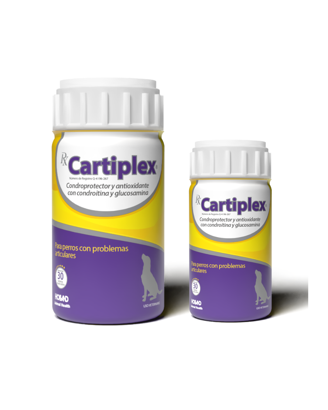 Rx Cartiplex