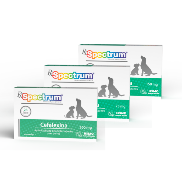 Rx Spectrum Cefalexina Tabletas