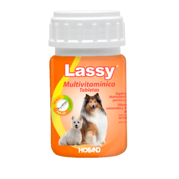 Lassy Multivitamínico