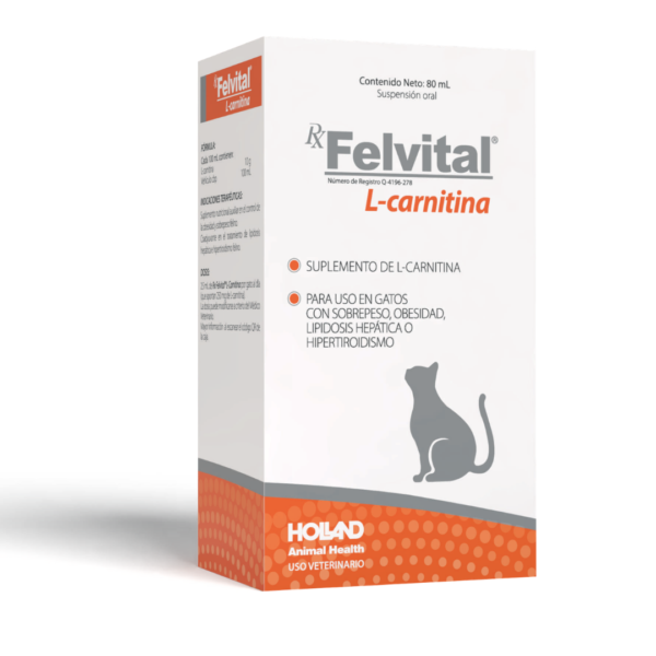 Rx Felvital L-carnitina