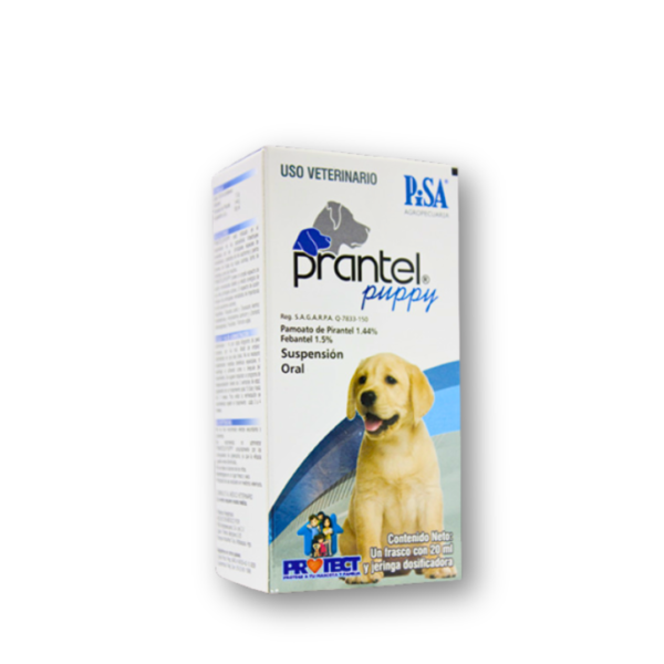 PRANTEL PUPPY