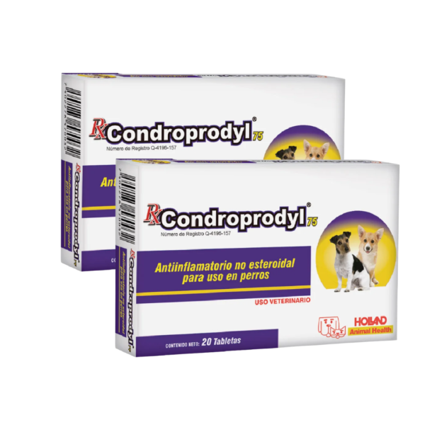 Rx Condroprodyl Tabletas 25, 75 y 100mg