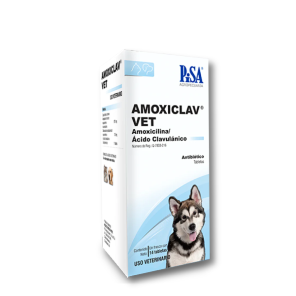 AMOXICLAV® VET
