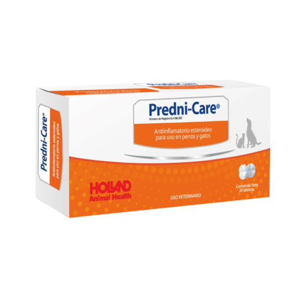 Predni-Care