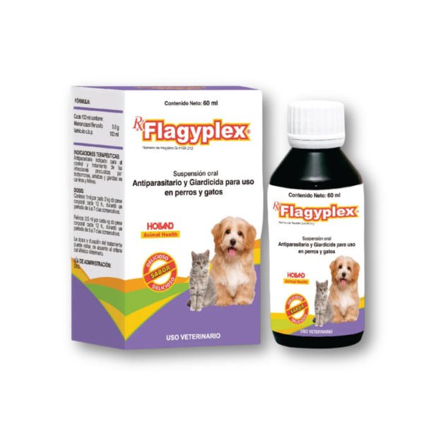 Flagyplex - Suspensión Oral