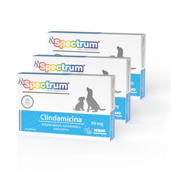 Rx Spectrum Clindamicina Tabletas