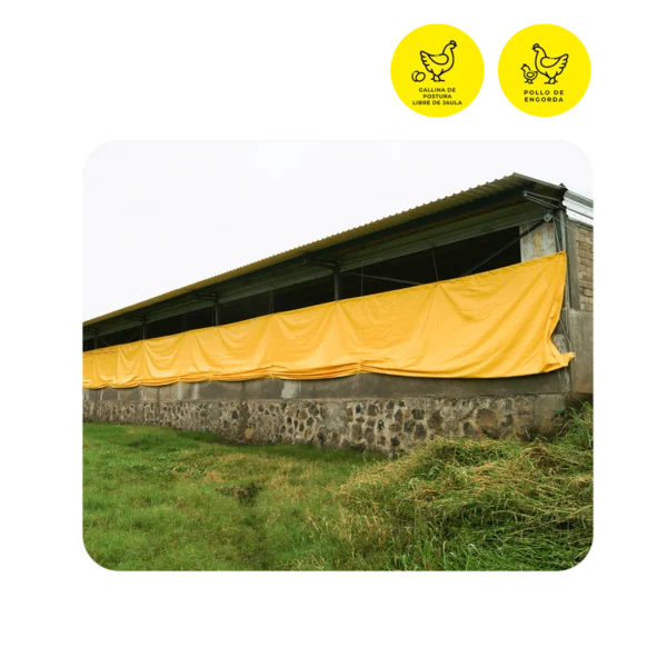 Cortinas para granja avícola