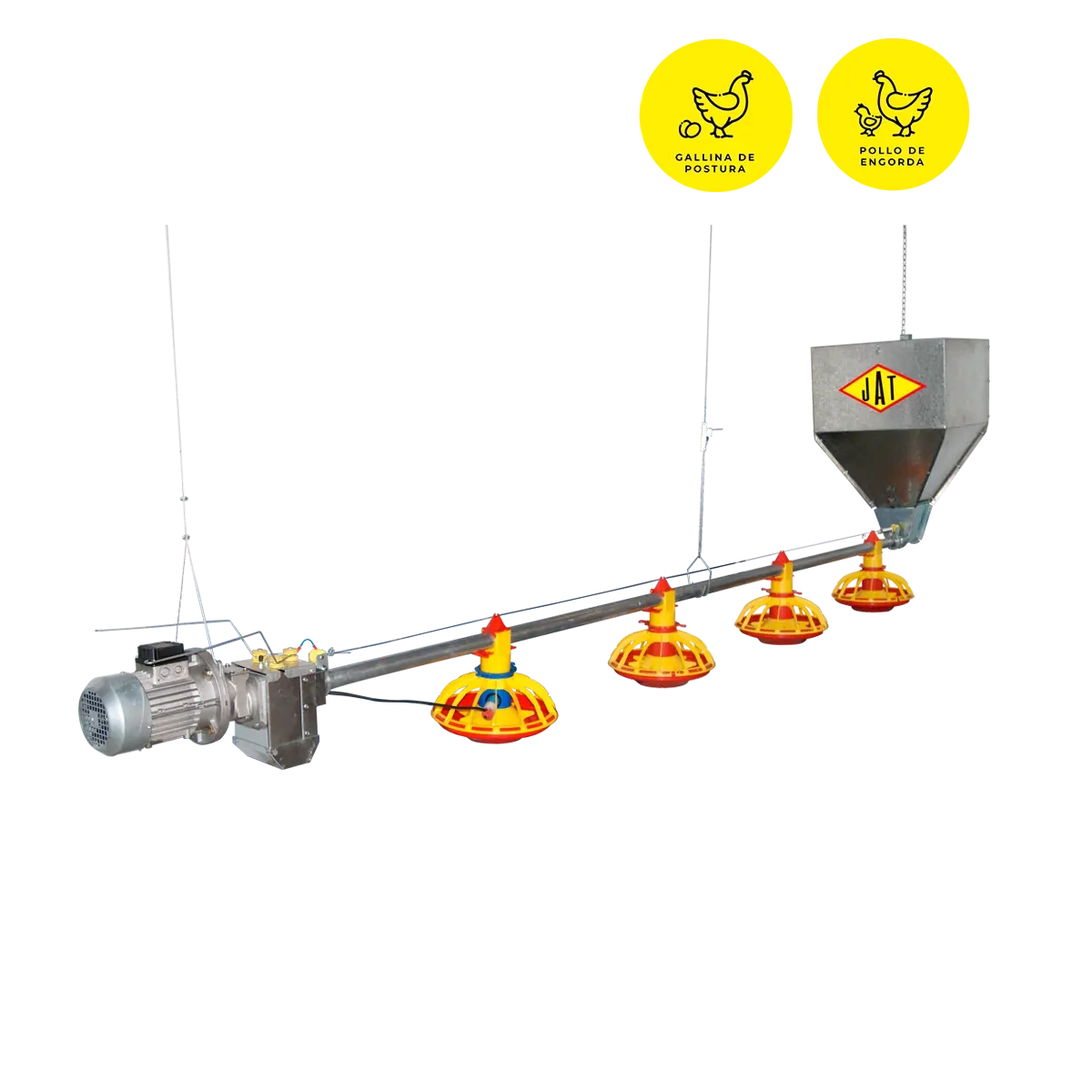 Comedero Automático Broilermatic® - Imagen 2